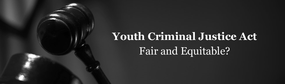 Youth Crimes Vakili Law Group 